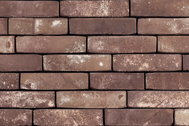 Van de Moor Nature line H type brick slip